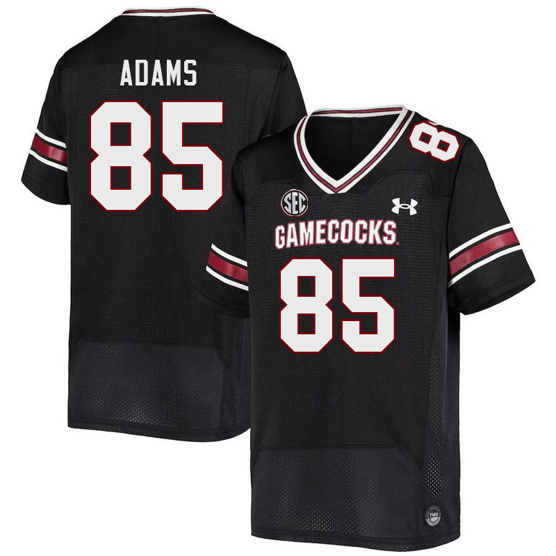 Men #85 CJ Adams South Carolina Gamecocks 2023 College Football Jerseys Stitched-Black